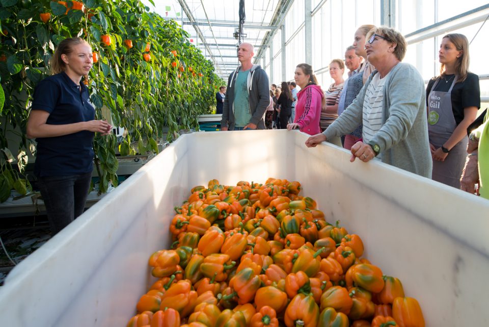Fotograaf Berkel en Rodenrijs