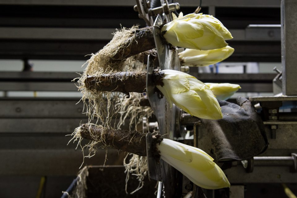Studio Dijkgraaf