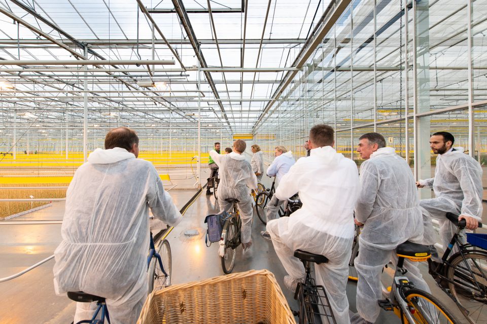 Studio Dijkgraaf Rotterdam Fotograaf Oostland Plantise