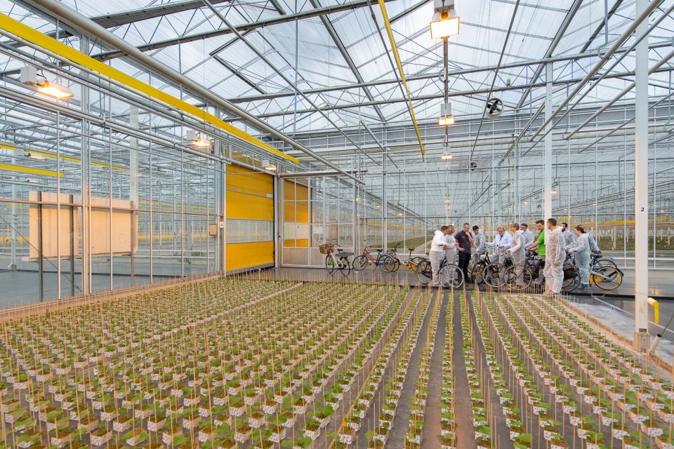 Studio Dijkgraaf Rotterdam Fotograaf Oostland Plantise